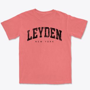 Leyden New York Urban Vibe Premium Heavyweight T-shirt