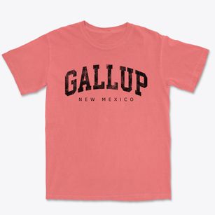 Gallup New Mexico Urban Vibe Premium Heavyweight T-shirt