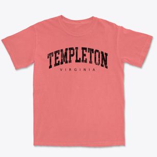 Templeton Virginia Urban Vibe Premium Heavyweight T-shirt