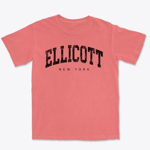 Ellicott New York Urban Vibe Premium Heavyweight T-shirt