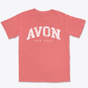 Avon New York Urban Vibe Premium Heavyweight T-shirt