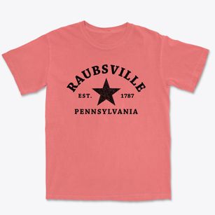 Raubsville Pennsylvania Star Premium Heavyweight T-shirt
