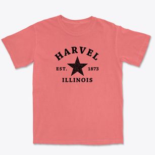 Harvel Illinois Star Premium Heavyweight T-shirt