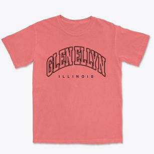 Glen Ellyn Illinois Inline Premium Heavyweight T-shirt