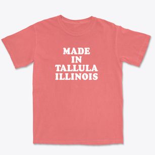 Tallula Illinois Classic 70s Premium Heavyweight T-shirt