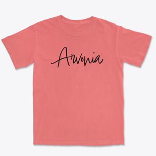 Arvonia Kansas Freestyle Premium Heavyweight T-shirt