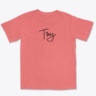Troy New Hampshire Freestyle Premium Heavyweight T-shirt
