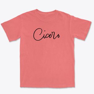 Cicero Wisconsin Freestyle Premium Heavyweight T-shirt