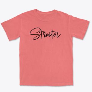 Streeter North Dakota Freestyle Premium Heavyweight T-shirt
