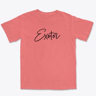 Exeter New Hampshire Freestyle Premium Heavyweight T-shirt