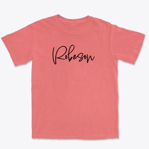 Robeson Pennsylvania Freestyle Premium Heavyweight T-shirt