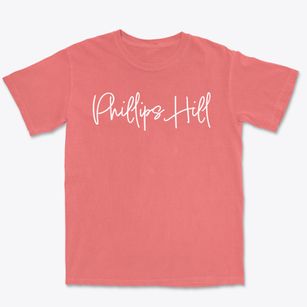 Phillips Hill Delaware Freestyle Premium Heavyweight T-shirt