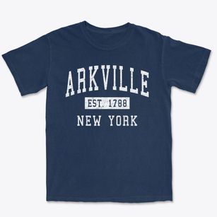 Arkville New York Classic Established Premium Heavyweight T-shirt