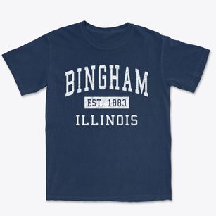 Bingham Illinois Classic Established Premium Heavyweight T-shirt