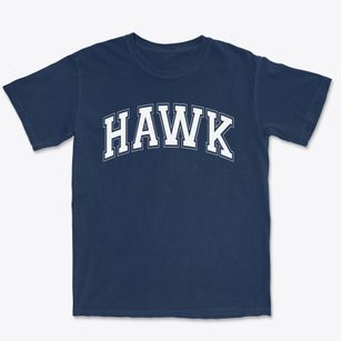 Hawk Primary School Varsity Arch Premium Heavyweight T-shirt