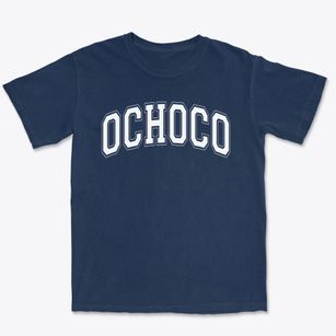 Ochoco Elementary School Varsity Arch Premium Heavyweight T-shirt