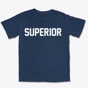 Superior Wisconsin Classic Block Premium Heavyweight T-shirt