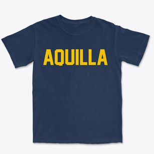 Aquilla Ohio Classic Block Premium Heavyweight T-shirt