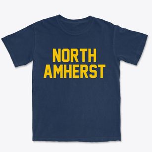 North Amherst Massachusetts Classic Block Premium Heavyweight T-shirt