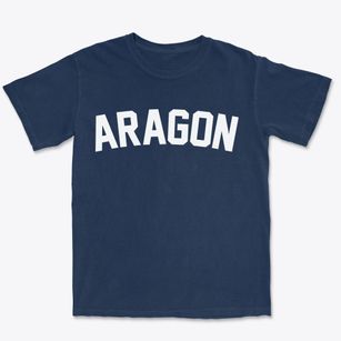 Aragon Georgia Classic Curve Premium Heavyweight T-shirt
