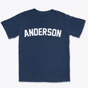 Anderson South Carolina Classic Curve Premium Heavyweight T-shirt