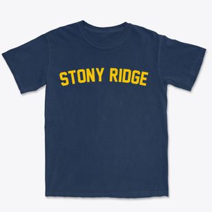 Stony Ridge Ohio Classic Curve Premium Heavyweight T-shirt