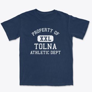 Tolna North Dakota Athletic Dept Premium Heavyweight T-shirt