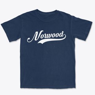Norwood North Carolina Vintage Team Premium Heavyweight T-shirt