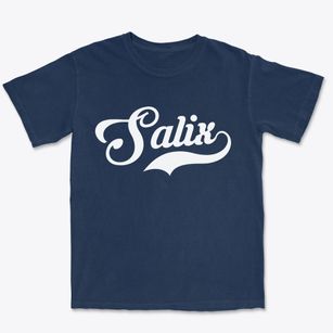 Salix Pennsylvania Vintage Team Premium Heavyweight T-shirt