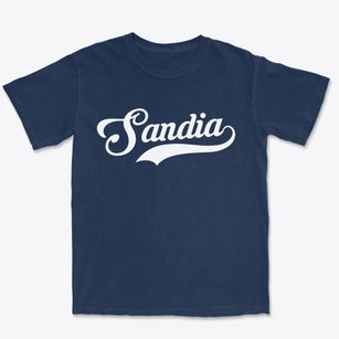 Sandia Texas Vintage Team Premium Heavyweight T-shirt