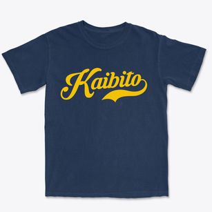 Kaibito Arizona Vintage Team Premium Heavyweight T-shirt