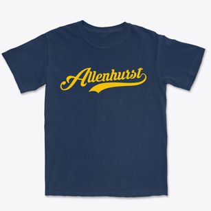 Allenhurst New Jersey Vintage Team Premium Heavyweight T-shirt