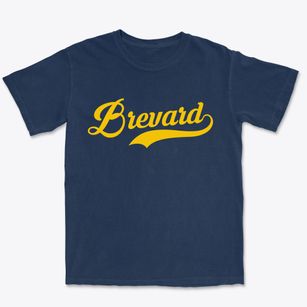 Brevard North Carolina Vintage Team Premium Heavyweight T-shirt