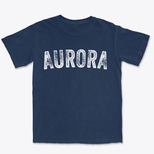 Aurora Illinois Timeless Retro Premium Heavyweight T-shirt