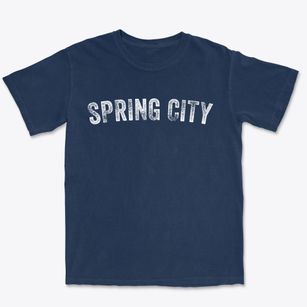Spring City Tennessee Timeless Retro Premium Heavyweight T-shirt