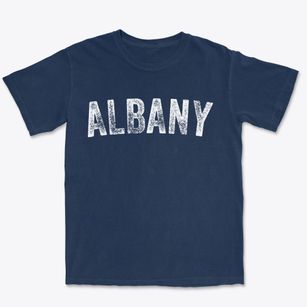 Albany Missouri Timeless Retro Premium Heavyweight T-shirt