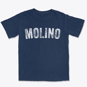 Molino Florida Timeless Retro Premium Heavyweight T-shirt