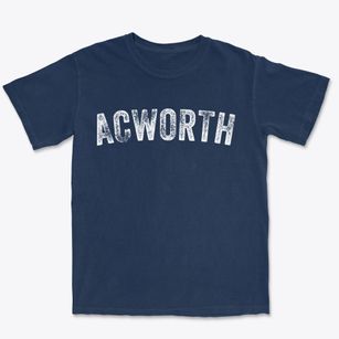 Acworth Georgia Timeless Retro Premium Heavyweight T-shirt