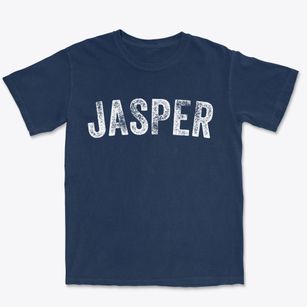 Jasper Michigan Timeless Retro Premium Heavyweight T-shirt
