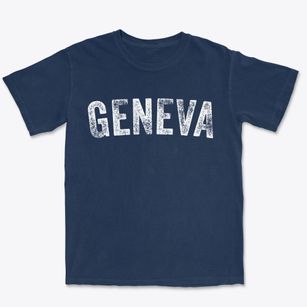 Geneva Pennsylvania Timeless Retro Premium Heavyweight T-shirt