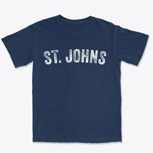 St. Johns Michigan Timeless Retro Premium Heavyweight T-shirt