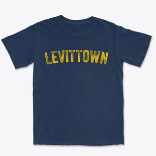 Levittown New York Timeless Retro Premium Heavyweight T-shirt