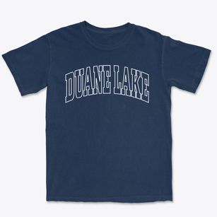 Duane Lake New York Trendy Block Premium Heavyweight T-shirt