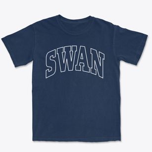 Swan Iowa Trendy Block Premium Heavyweight T-shirt