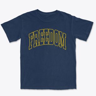 Freedom New Hampshire Trendy Block Premium Heavyweight T-shirt