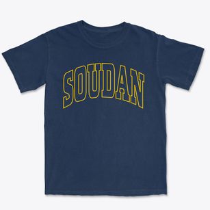 Soudan Minnesota Trendy Block Premium Heavyweight T-shirt