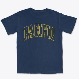 Pacific Missouri Trendy Block Premium Heavyweight T-shirt