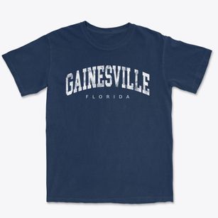 Gainesville Florida Urban Vibe Premium Heavyweight T-shirt