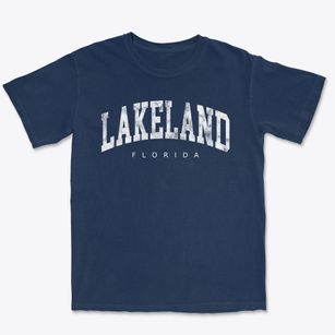 Lakeland Florida Urban Vibe Premium Heavyweight T-shirt