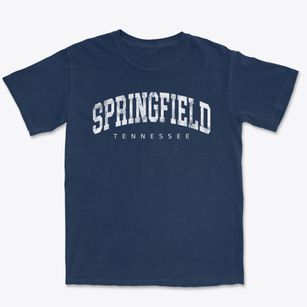 Springfield Tennessee Urban Vibe Premium Heavyweight T-shirt
